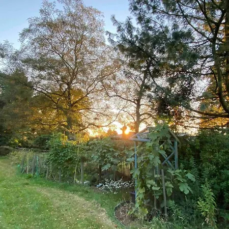Studio Lickey Hills Near Attractions Garden Petok Birmingham Exterior photo