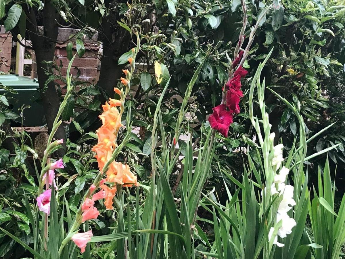 Lickey Hills Near Attractions Garden Petok Apartment