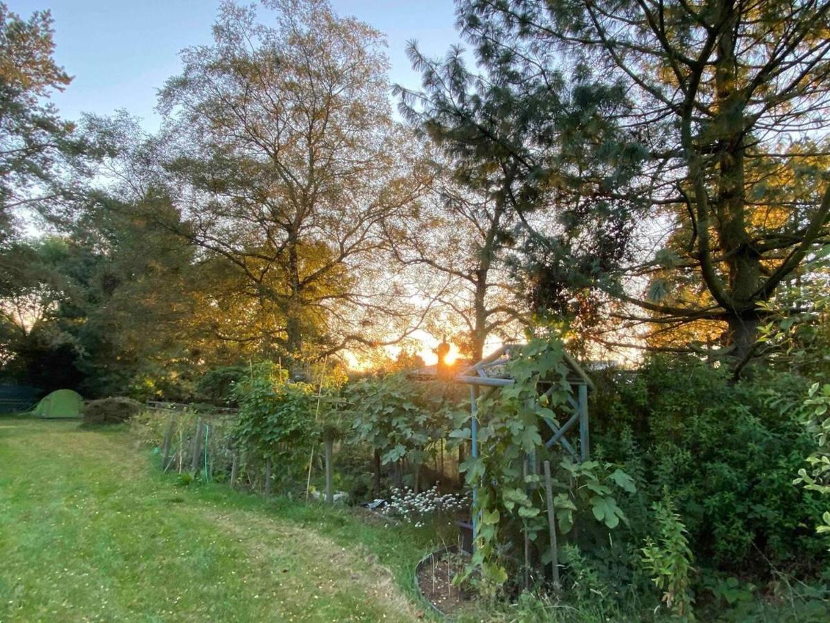 Lickey Hills Near Attractions Garden Petok Apartment *