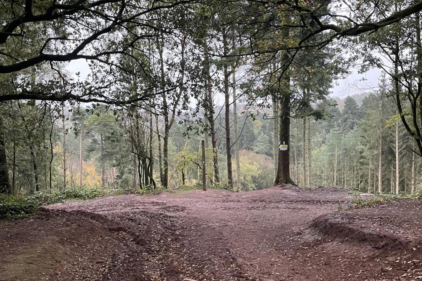 Lickey Hills Near Attractions Garden Petok *