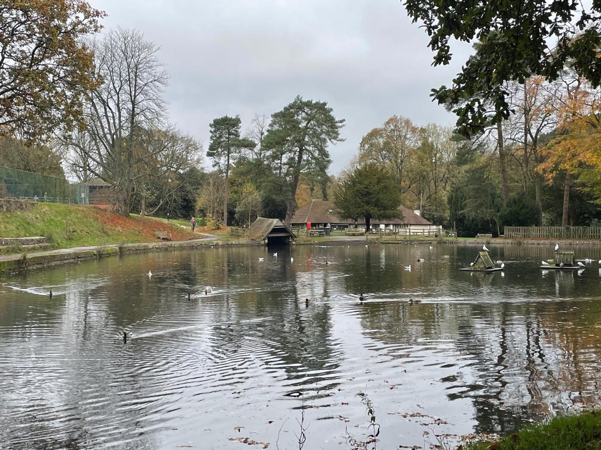 Lickey Hills Near Attractions Garden Petok Apartment Birmingham