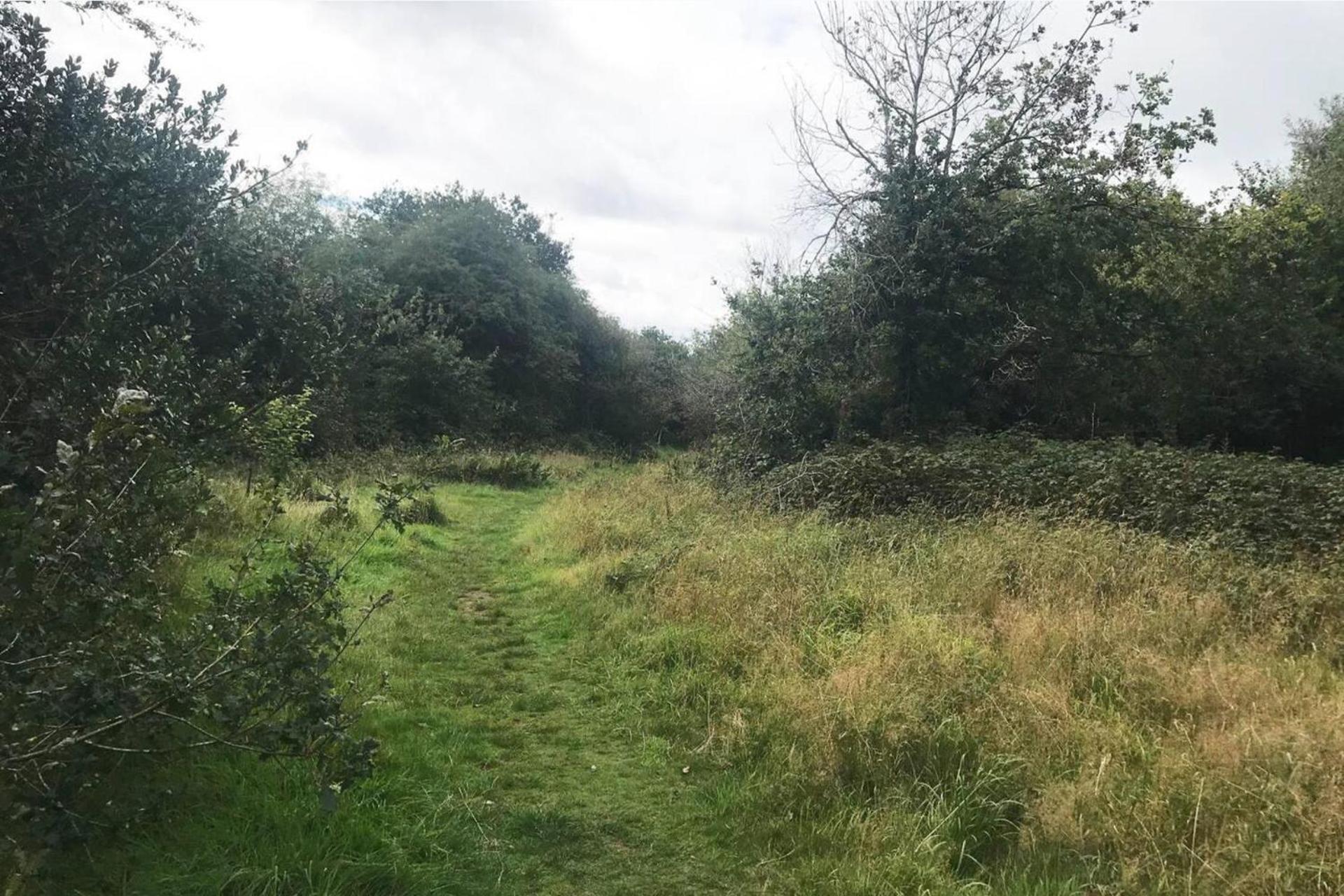 Lickey Hills Near Attractions Garden Petok Birmingham